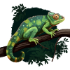 Chameleon Branch Reptiles