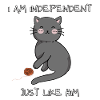 Independent cat