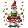 Méditation Champignon Gnome