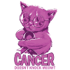 Cancer defeats testicular cancer