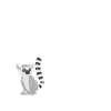 Lemur
