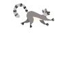 Lemur