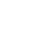 Lemur