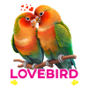 Lovebird Whisperer Bird Lover