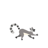 Lemur