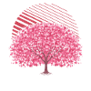 Japanischer Sakura Baum Geschenk Kirschblüten