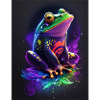 Frog Galaxy
