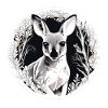 Kangaroo