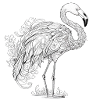 Flamingo