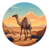 Dromedary Desert