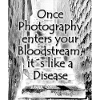 phtotography disease black