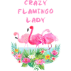 Crazy Flamingo Lady T Shirt