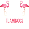 Cute Flamingo Lovers T Shirt