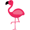 Mignon oiseau flamant rose