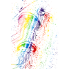 Bunte Quallen
