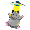 Hamster Spaceship Space