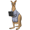 Kangaroo Secretary Laptop
