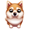 Shiba Inu Artistry