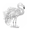 Flamingo