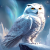 Snowy owl