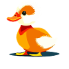 Duckling Cute Cute Cute