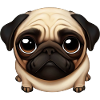 Pug Love Design