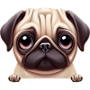 Beautiful Pug Design