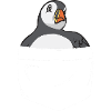 puffin puffin auke birds Lunde