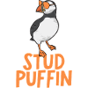 puffin puffin auke birds Lunde