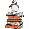 puffin, puffin, auks, lunde