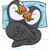 puffin puffin auke birds Lunde