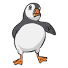 puffin puffin auke birds Lunde
