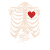 Skeleton Pregnancy Announcement Gemini XRay