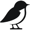 Oiseau