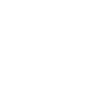 Cute Fox