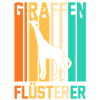 Giraffe Giraffen