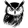 Hibou Hibou Oiseaux Oiseaux