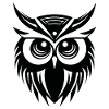 Hibou Hibou Oiseaux Oiseaux