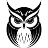 Owl Owl Bird Birds