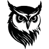 Hibou Hibou Oiseaux Oiseaux