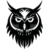 Hibou Hibou Oiseaux Oiseaux
