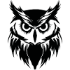 Hibou Hibou Oiseaux Oiseaux