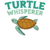 Sea Turtle Tortoise Turtle