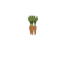 Carrot Vegetable Vegan