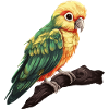 Baby Parrot Bird Macaw