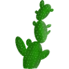 Kaktus