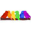 Rainbow of birds