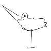 Storch