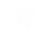 Giraffe Giraffen