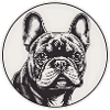 French Bulldog, Frenchie, Puppy